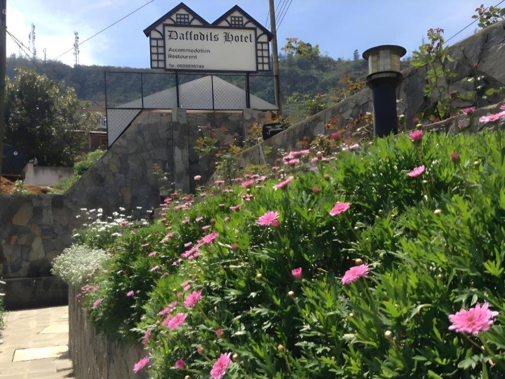 נוארה אליה Daffodil'S Hotel מראה חיצוני תמונה