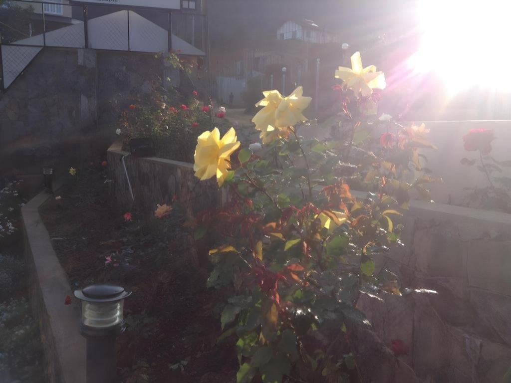 נוארה אליה Daffodil'S Hotel מראה חיצוני תמונה