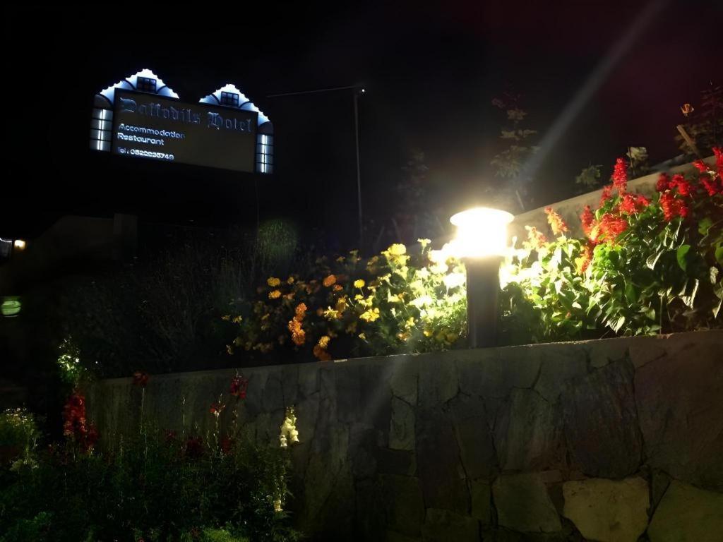 נוארה אליה Daffodil'S Hotel מראה חיצוני תמונה